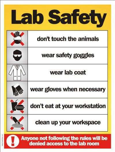 Safety Rules in The Laboratory