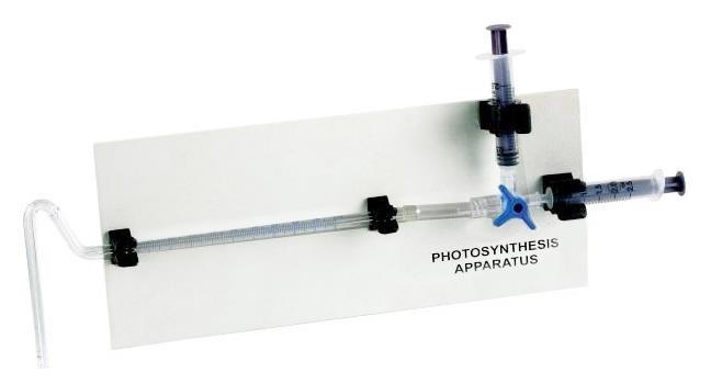 Apparatus for Photosynthesis